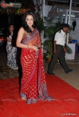 Celina Jaitley, Tulip Joshi & Lots More at Isha Koppikar wedding reception - inditop.com 1