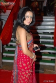 Celina Jaitley, Tulip Joshi & Lots More at Isha Koppikar wedding reception - inditop.com 11