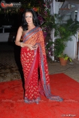 Celina Jaitley, Tulip Joshi & Lots More at Isha Koppikar wedding reception - inditop.com 2